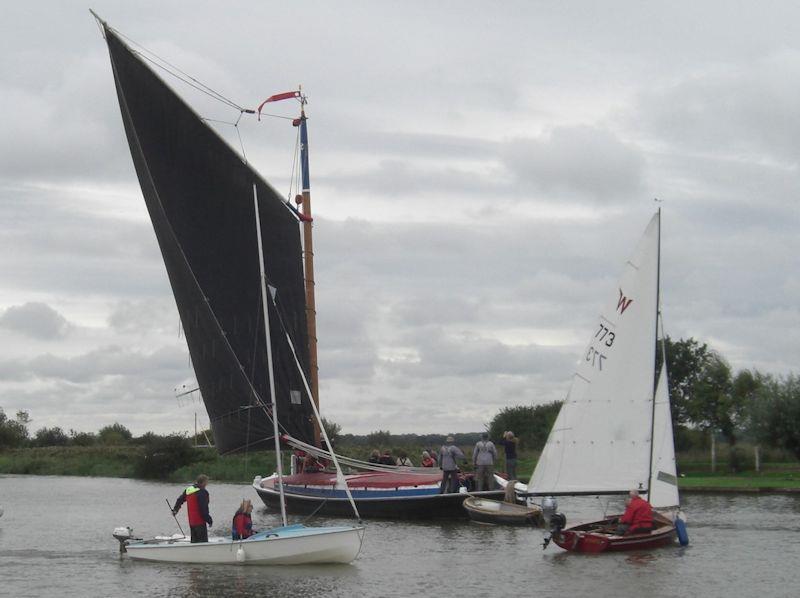 The
                          wherry Albion glides past during the Wayfarer
                          International Rally on the Norfolk Broads -
                          photo © Mike Playle